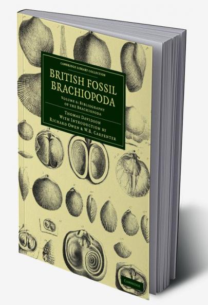 British Fossil Brachiopoda