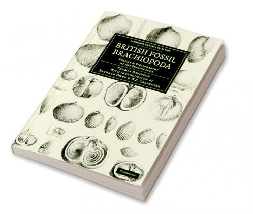 British Fossil Brachiopoda