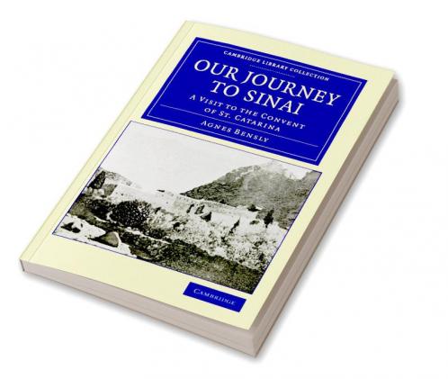 Our Journey to Sinai