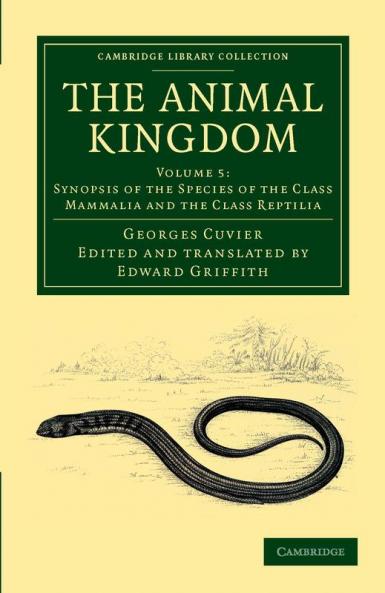 The Animal Kingdom - Volume 5