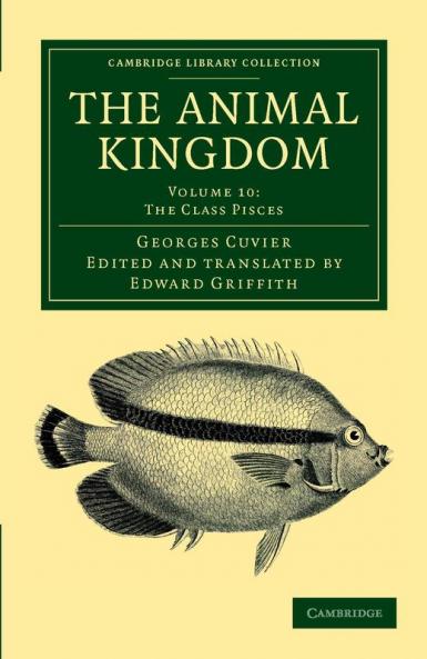 The Animal Kingdom - Volume 10