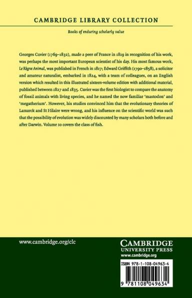 The Animal Kingdom - Volume 10