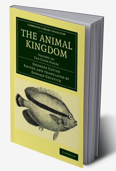 The Animal Kingdom - Volume 10