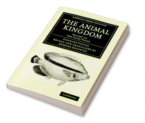 The Animal Kingdom - Volume 10