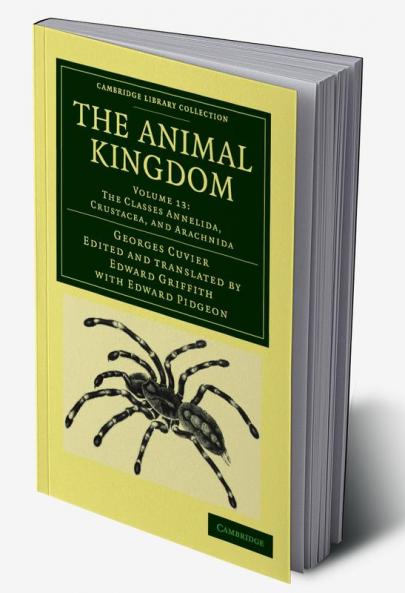The Animal Kingdom - Volume 13