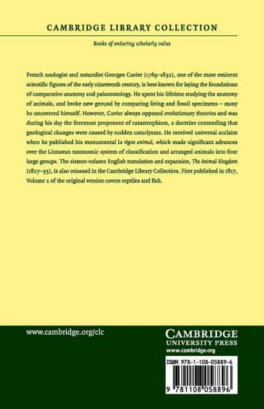 Le Regne Animal Distribue D'Apres Son Organisation