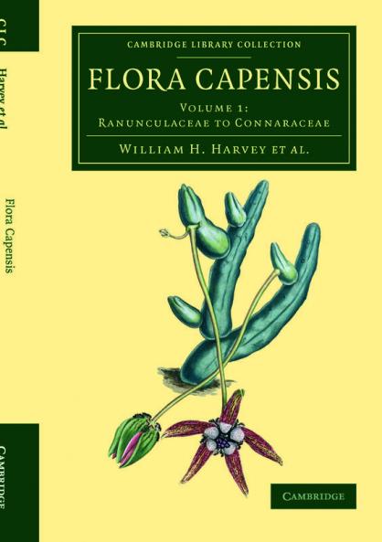 Flora Capensis