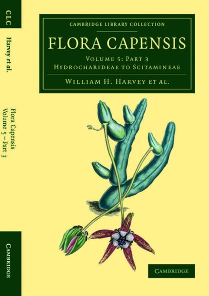 Flora Capensis