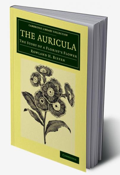 The Auricula