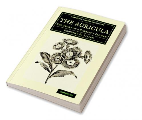 The Auricula