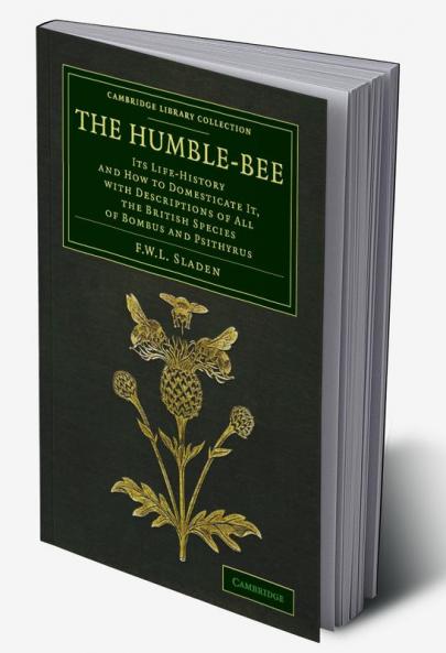 The Humble-Bee