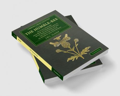 The Humble-Bee