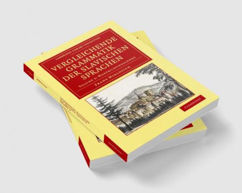 Vergleichende Grammatik der slavischen Sprachen - Volume             3