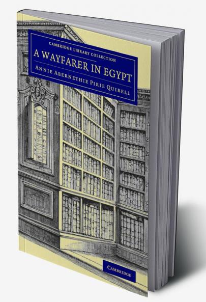 A Wayfarer in Egypt