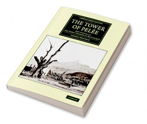 The Tower of Pelée