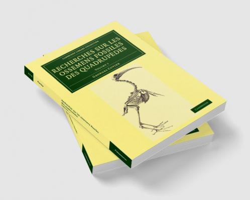 Recherches sur les ossemens fossiles des quadrupèdes - Volume             1