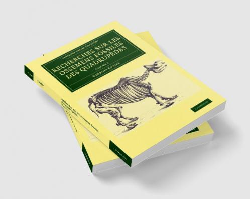 Recherches sur les ossemens fossiles des quadrupèdes - Volume             2