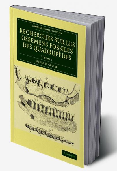 Recherches sur les ossemens fossiles des quadrupèdes - Volume             3