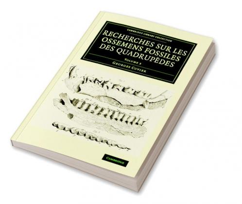 Recherches sur les ossemens fossiles des quadrupèdes - Volume             3