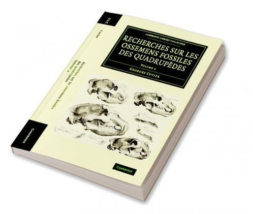 Recherches sur les ossemens fossiles des quadrupèdes - Volume             4