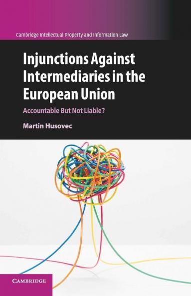 Injunctions Against Intermediaries in the European             Union