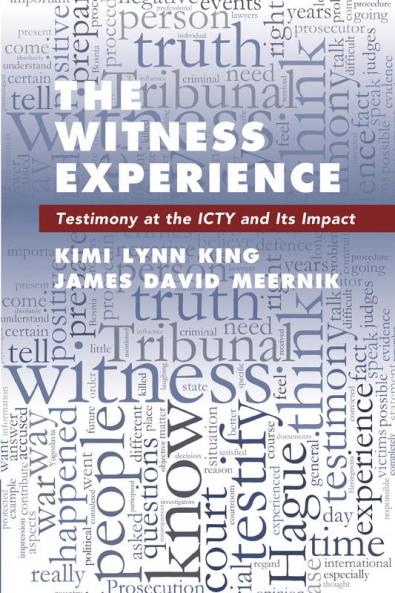 The Witness Experience