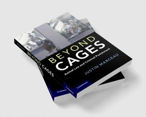 Beyond Cages