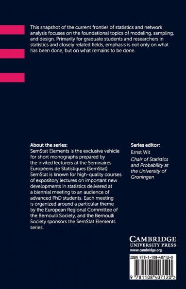 Topics at the Frontier of Statistics and Network Analysis