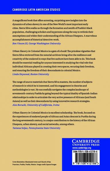 Urban Slavery in Colonial Mexico