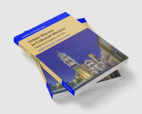 Urban Slavery in Colonial Mexico