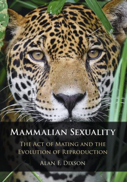 Mammalian Sexuality