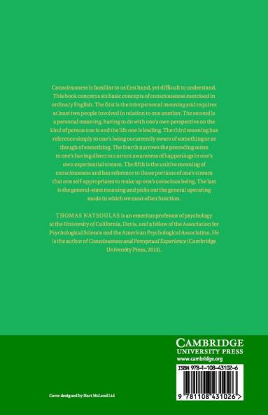 The Conceptual Representation of Consciousness