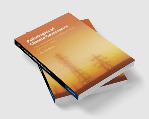 Pathologies of Climate Governance