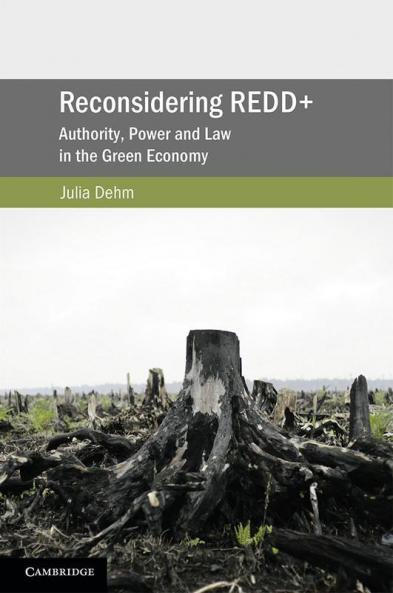 Reconsidering REDD+