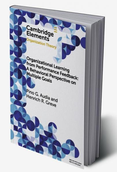 Organizational Learning from Performance Feedback