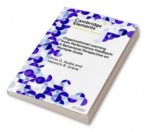Organizational Learning from Performance Feedback
