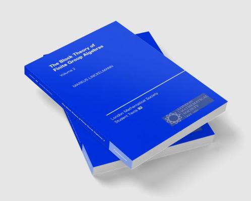 The Block Theory of Finite Group Algebras