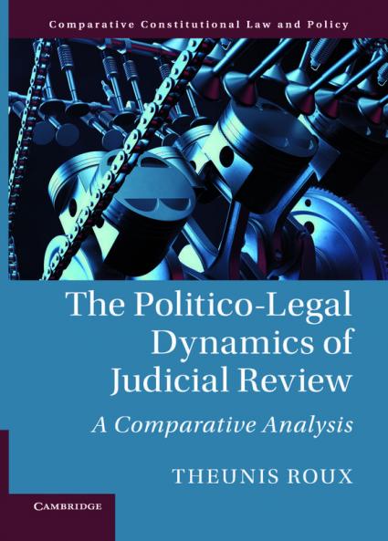 The Politico-Legal Dynamics of Judicial Review