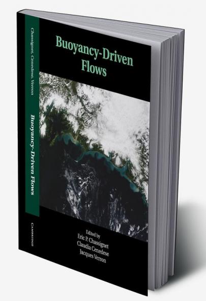 Buoyancy-Driven Flows