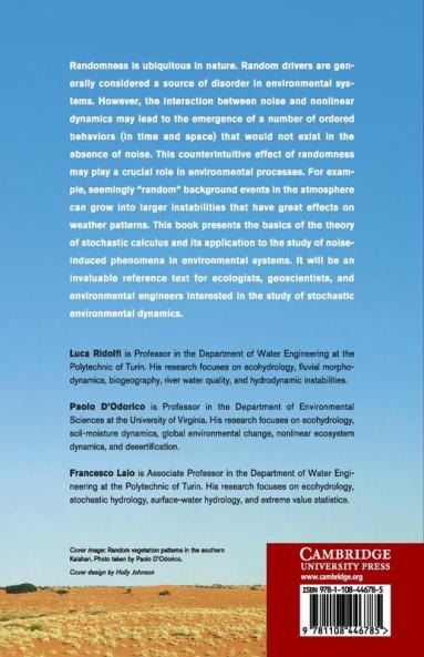 Noise-Induced Phenomena in the Environmental Sciences