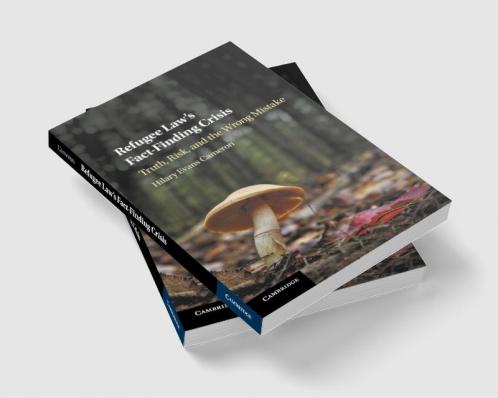 Refugee Law's Fact-Finding Crisis