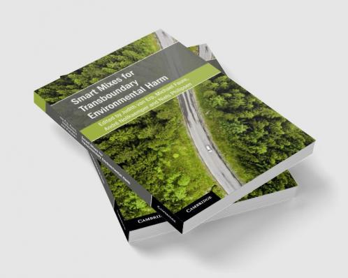 Smart Mixes for Transboundary Environmental Harm