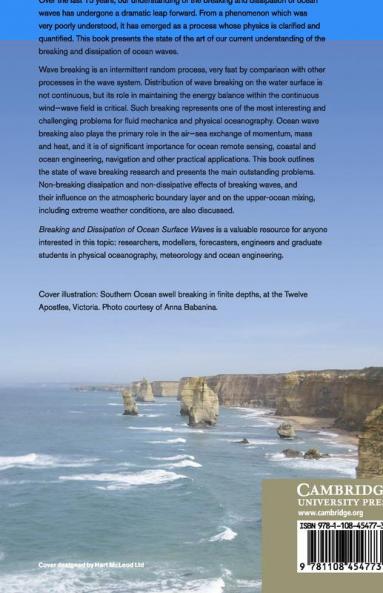 Breaking and Dissipation of Ocean Surface Waves
