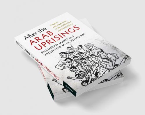 After the Arab Uprisings