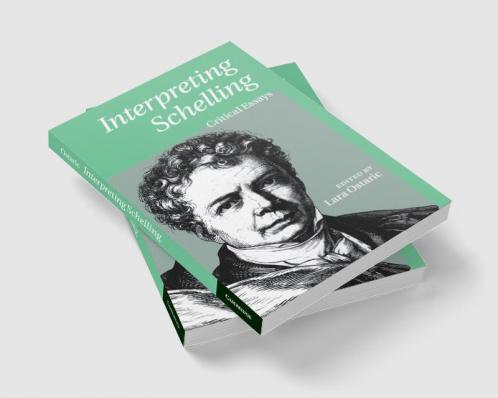 Interpreting Schelling
