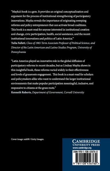 Building Participatory Institutions in Latin America