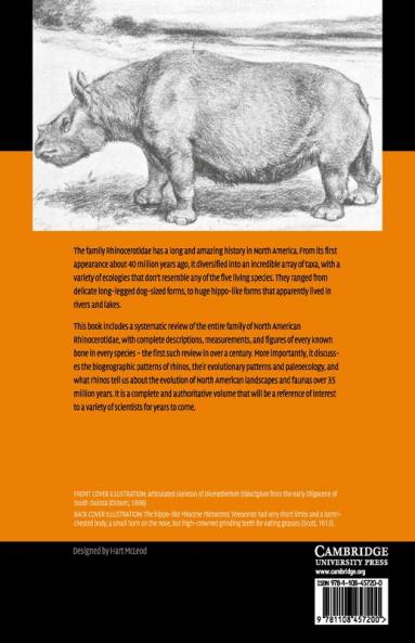 The Evolution of North American Rhinoceroses
