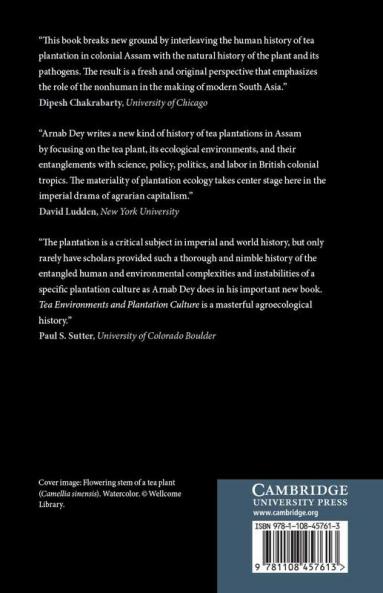 Tea Environments and Plantation Culture