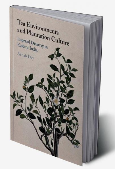 Tea Environments and Plantation Culture