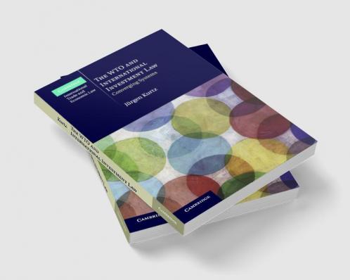 The WTO and International Investment Law